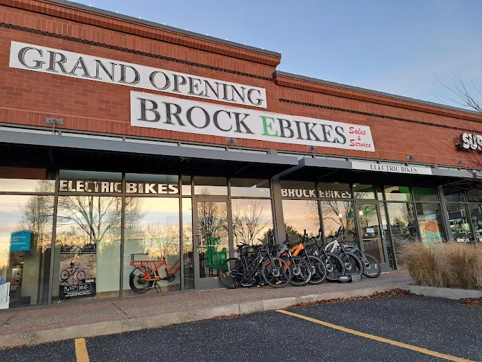 Brock Ebikes LLC Picture 10
