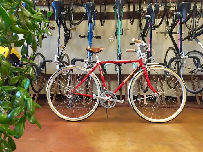 NwProGear Bicycle Shop & Repair Picture 3