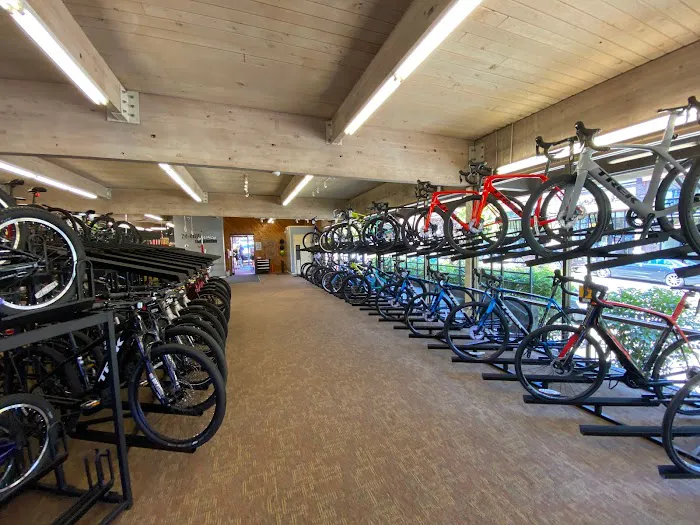 Trek Bicycle Lake Oswego Picture 8