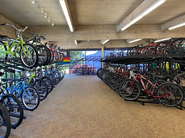 Trek Bicycle Lake Oswego Picture 9