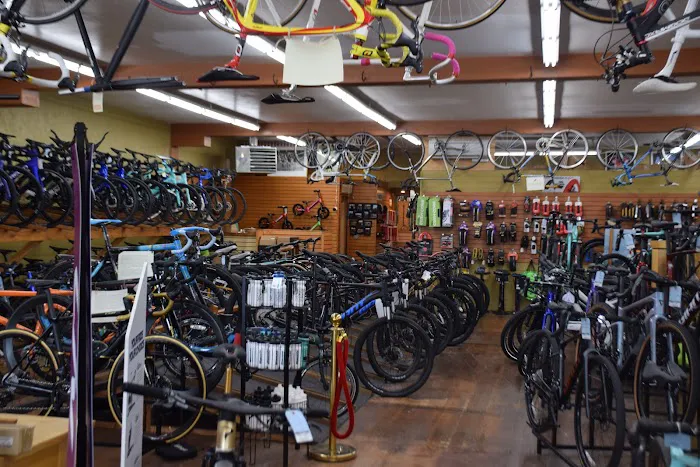 Lakeside Bicycles Picture 2