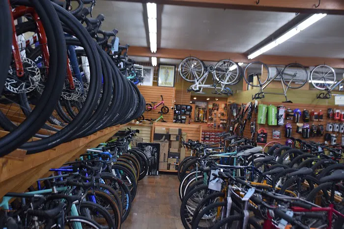 Lakeside Bicycles Picture 5