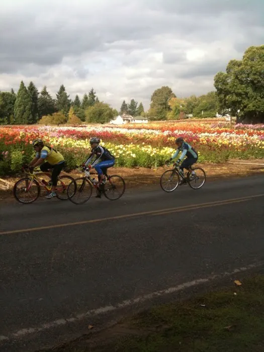Lakeside Bicycles Picture 6