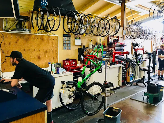 Trek Bicycle Beaverton Picture 2