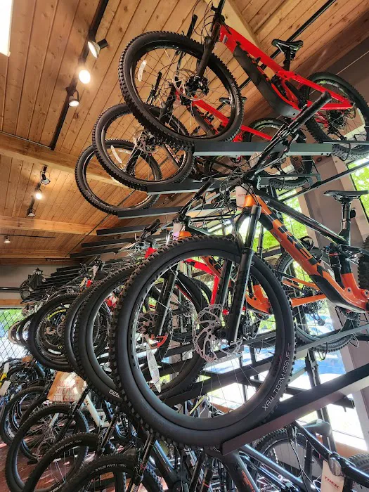 Trek Bicycle Beaverton Picture 9