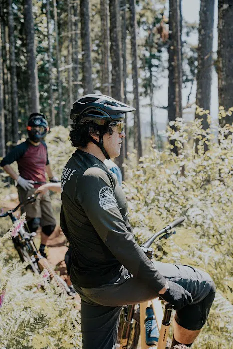 Cascade Bikes Picture 10