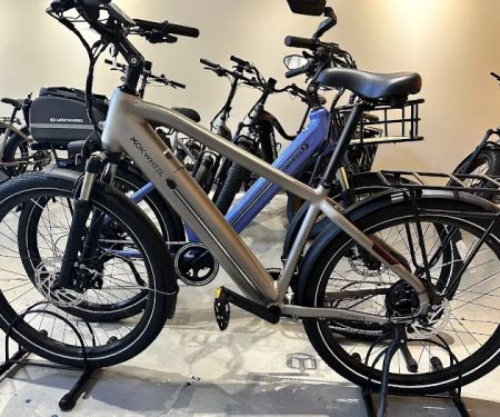 Mokwheel E-Bikes