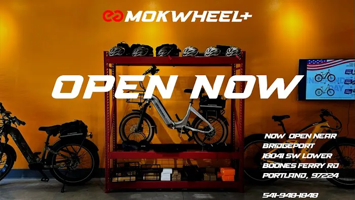 Mokwheel E-Bikes Picture 5