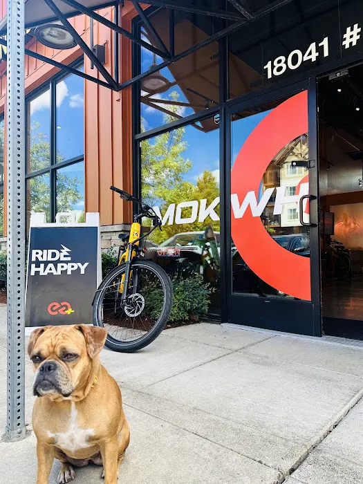 Mokwheel E-Bikes Picture 9