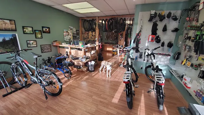 pXcycle Picture 1