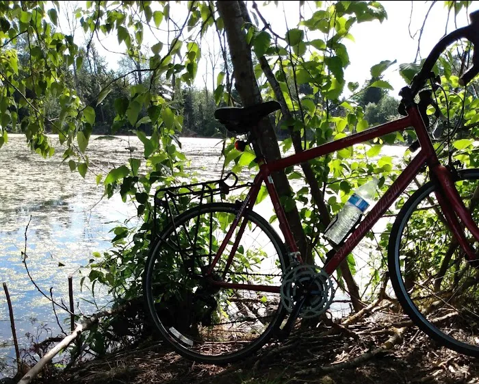 Rod's Reride Bikes Picture 2