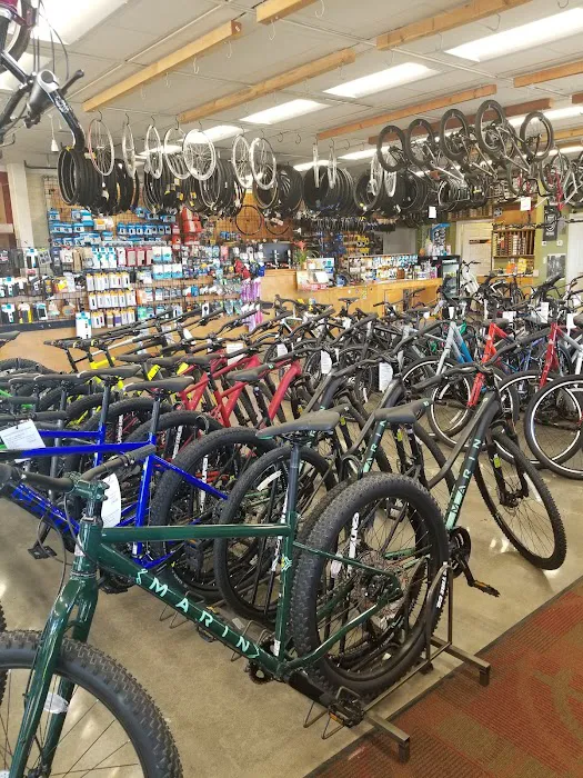The Outer Rim Bicycle Shop Picture 3