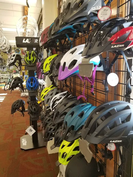 The Outer Rim Bicycle Shop Picture 10