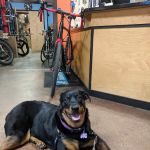 Western Bikeworks
