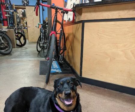Western Bikeworks