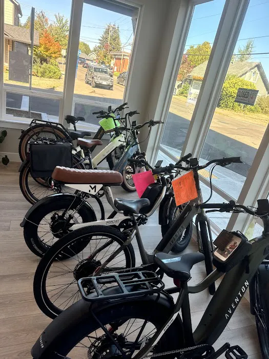 E-Bike Central Picture 4