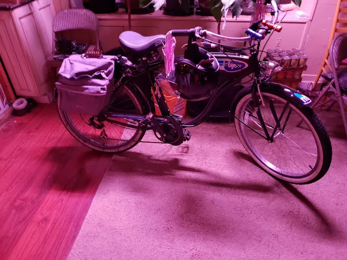 Classic cycle Inc Picture 6