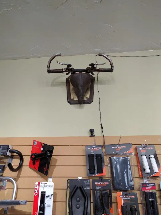 Classic cycle Inc Picture 5