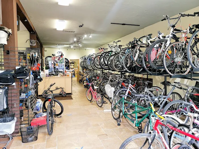 Classic cycle Inc Picture 3