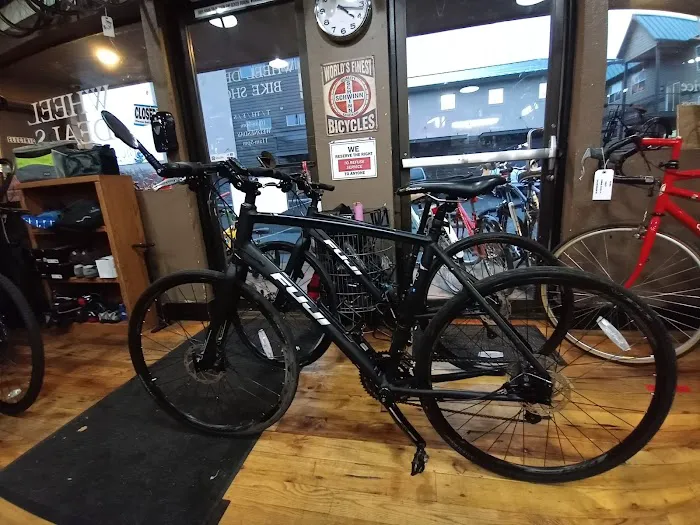 Wheel House Bicycle Shop Picture 2
