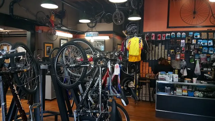 Wheel House Bicycle Shop Picture 1