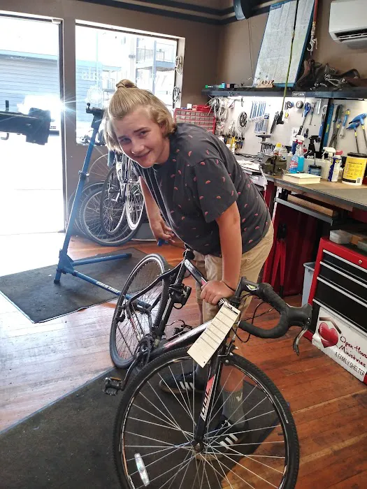 Wheel House Bicycle Shop Picture 5