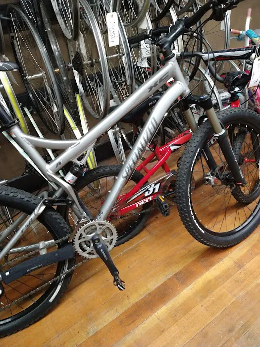 Wheel House Bicycle Shop Picture 7