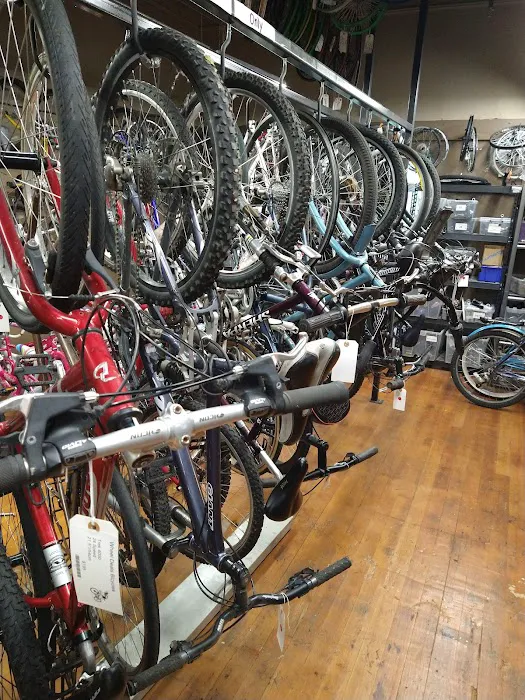 Wheel House Bicycle Shop Picture 4