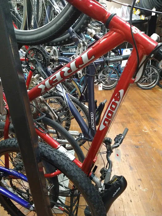 Wheel House Bicycle Shop Picture 10