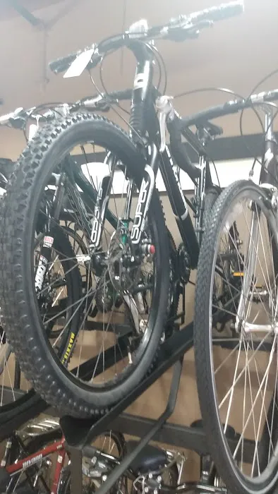 Wheel House Bicycle Shop Picture 8