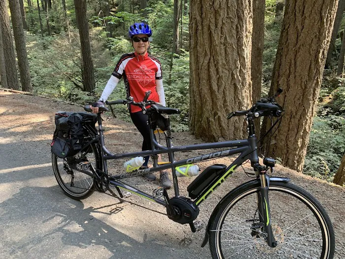New World eBikes Picture 3