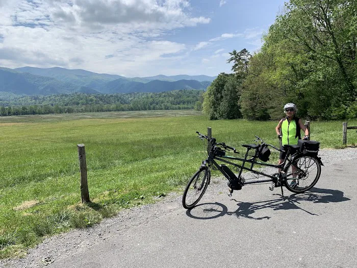 New World eBikes Picture 7