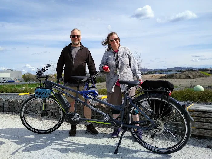 New World eBikes Picture 5