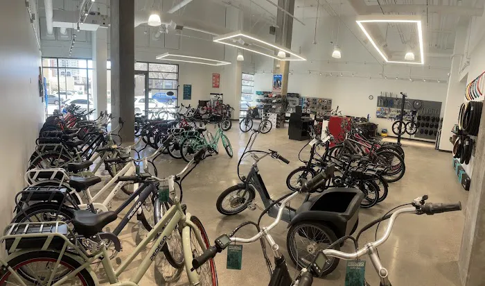 Pedego Electric Bikes Denver Picture 9
