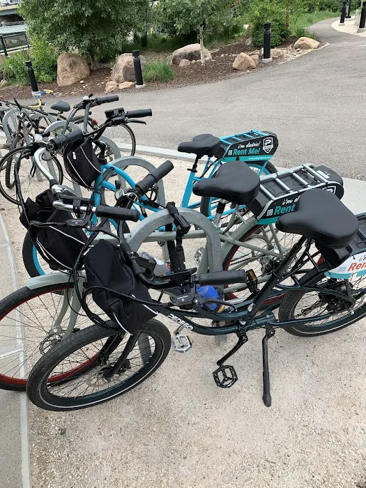 Pedego Electric Bikes Denver Picture 10