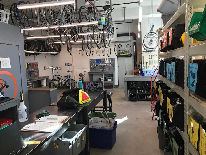 Bikes Together Picture 3