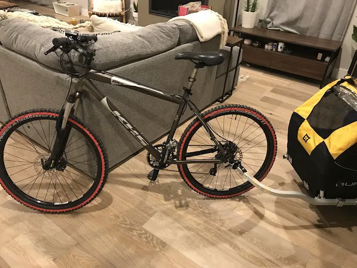 Bikes Together Picture 9