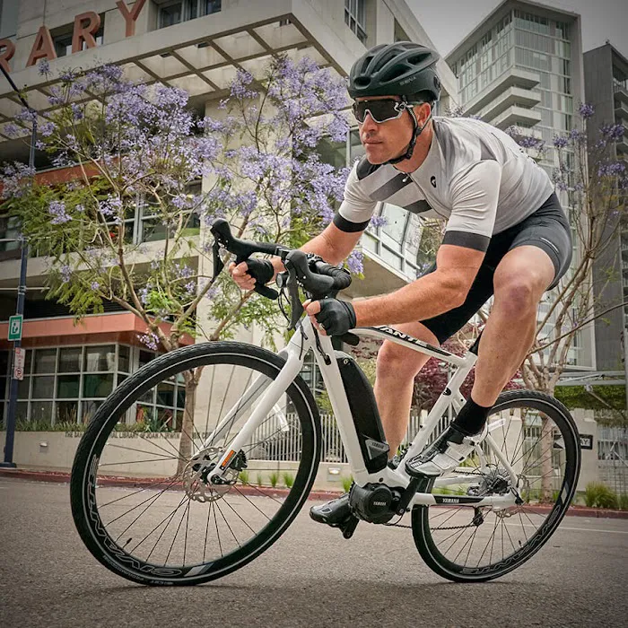Crowley Cycles Picture 3