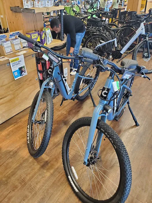 Mike's Bikes of Denver Downtown Picture 6