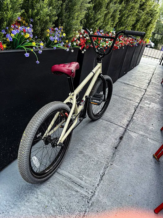 Dynamic Pro Scooters & Bikes Picture 9