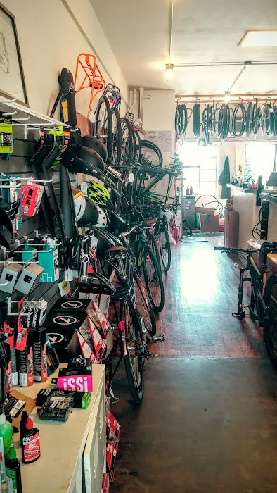 SloHi Bike Co. Picture 4
