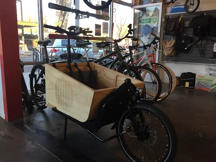 SloHi Bike Co. Picture 8