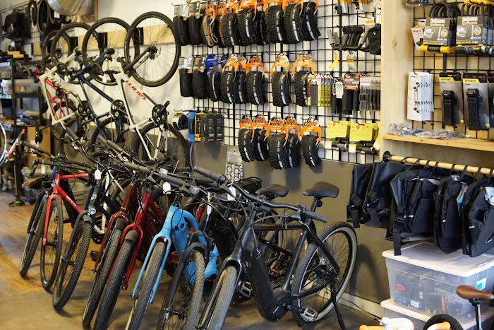 SloHi Bike Co. Picture 7