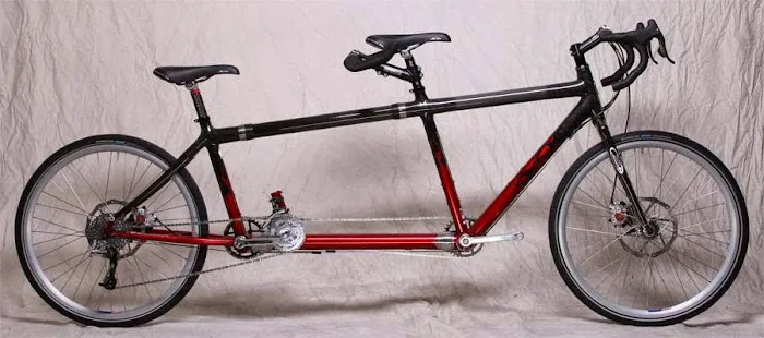 Da Vinci Designs Picture 2