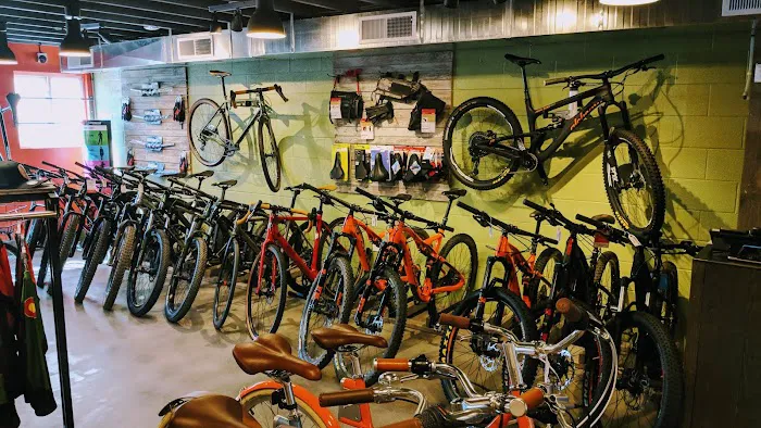 Base Camp Cyclery Picture 8