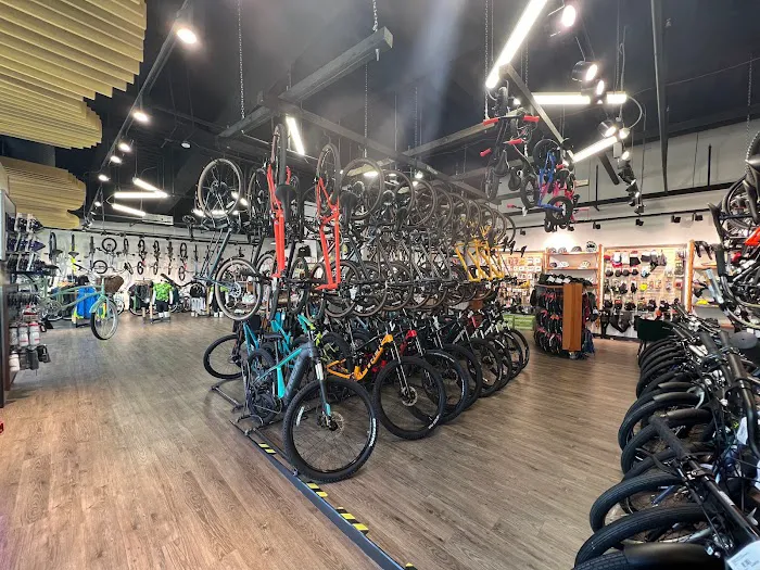 Mike's Bikes of East Denver Picture 3
