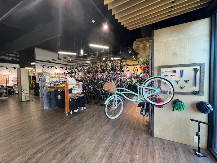 Mike's Bikes of East Denver Picture 4