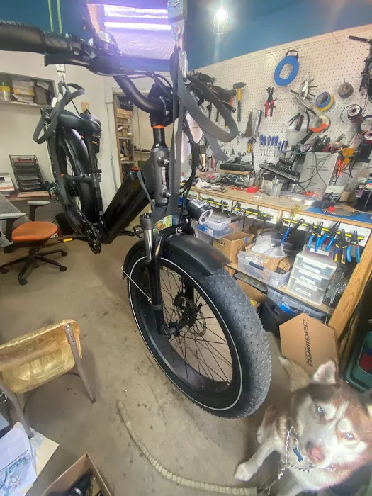 Eforce Electric Bikes Picture 2