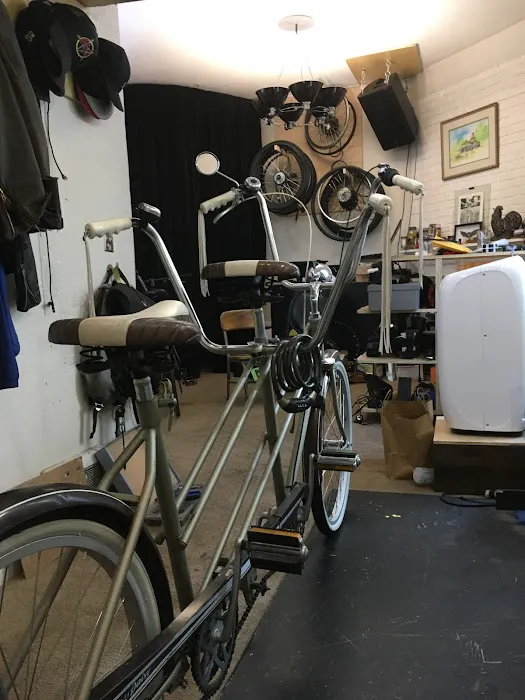 Eforce Electric Bikes Picture 6