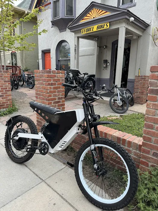 Eforce Electric Bikes Picture 8